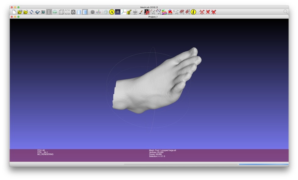 A screenshot of the 3D Modeling software Meshmixer displaying a model foot.